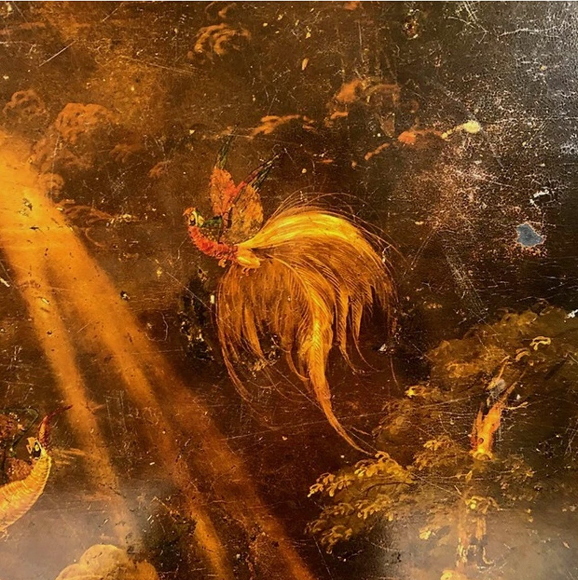 Very Large Napoleon III Tilting Pedestal Table In Black Lacquered Wood With Bird-of-paradise Décor-photo-4