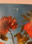 1584428-alb-6874be7286d13.jpg