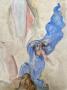 1839170-alb-6ad231205da3a.jpg