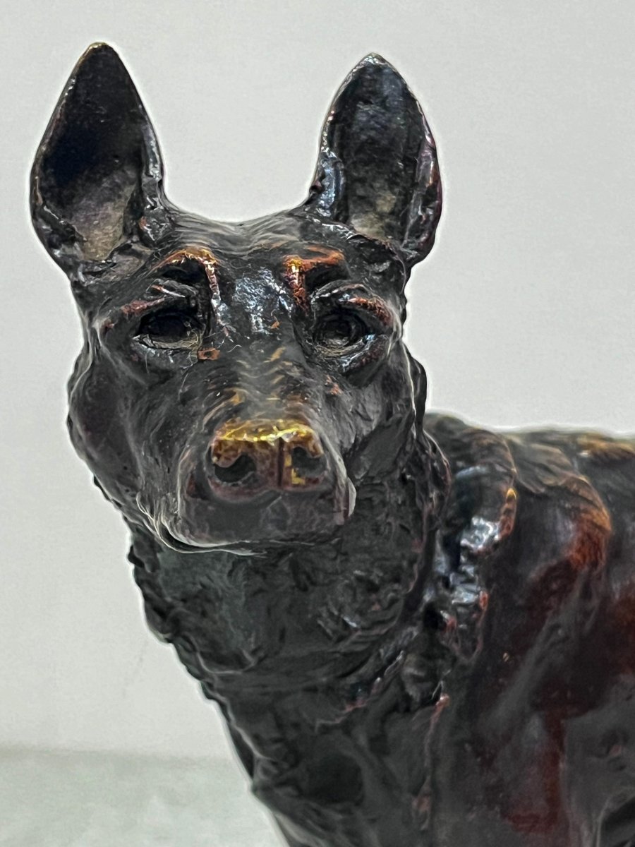 Bronze German Shepherd Dog Of Albert-pierre Laplanche -photo-4