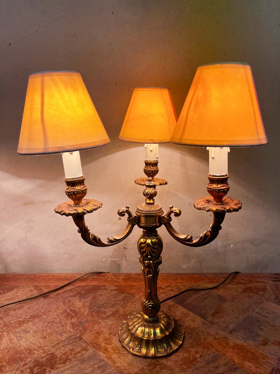 Paire de lampe en bronze doré-photo-2