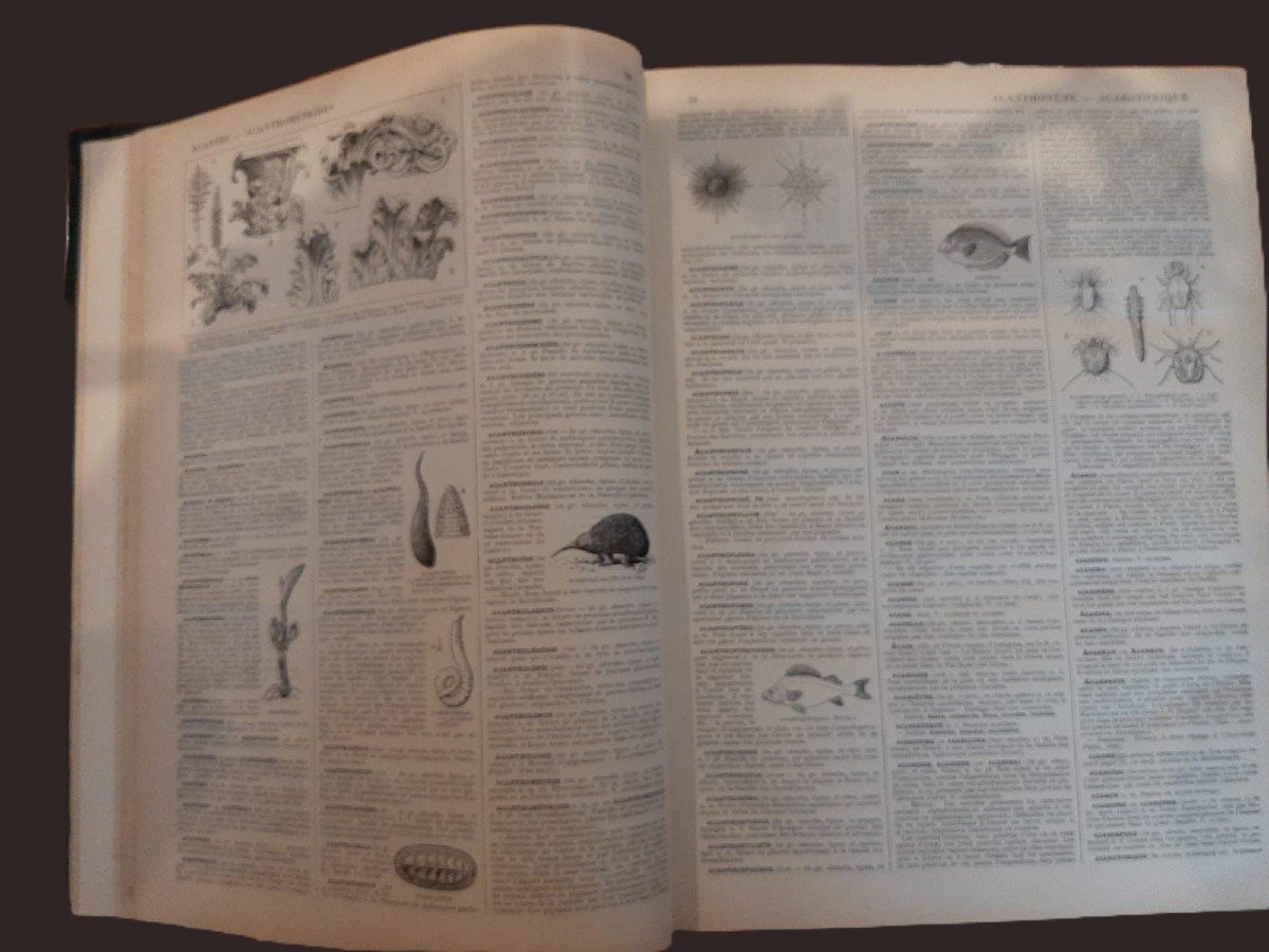 New Larousse Illustrated & Atlas - Universal Encyclopedic Dictionary -photo-1