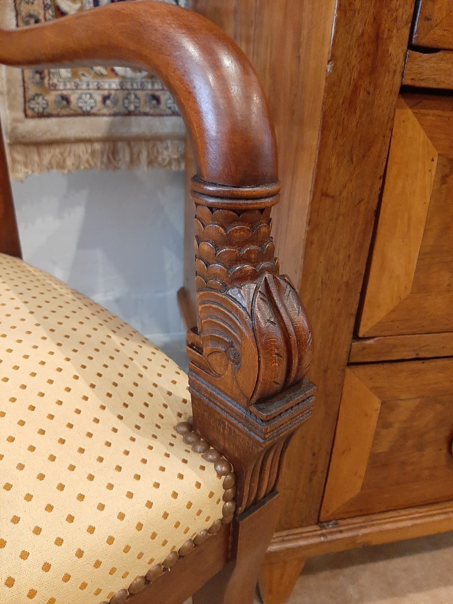 Paire De Fauteuils Têtes De Dauphin En Acajou Blond -  Début XIXème-photo-2