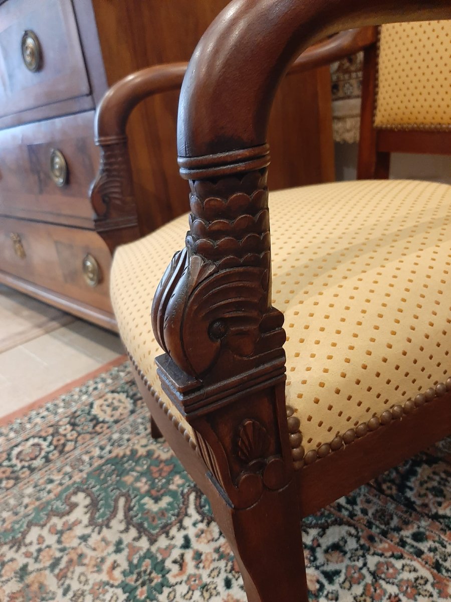 Paire De Fauteuils Têtes De Dauphin En Acajou Blond -  Début XIXème-photo-3
