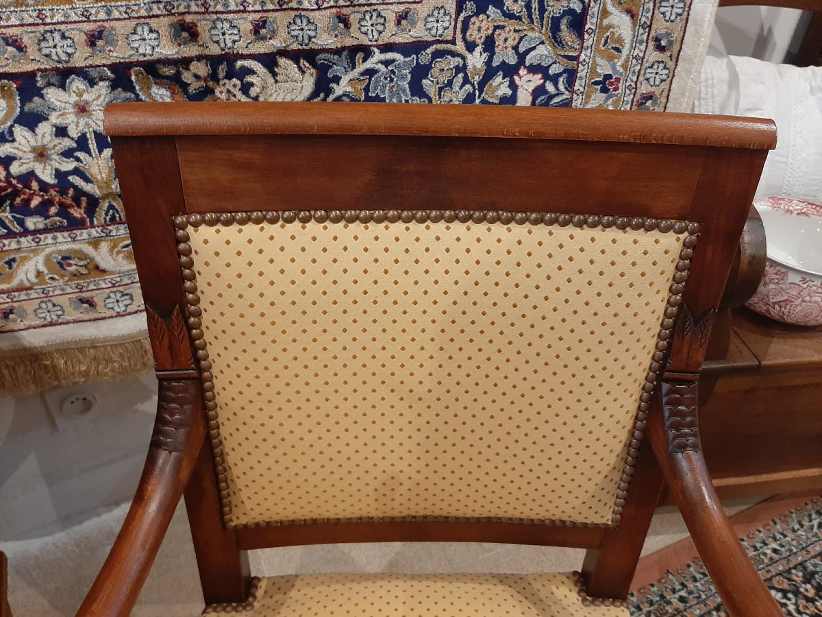 Paire De Fauteuils Têtes De Dauphin En Acajou Blond -  Début XIXème-photo-5