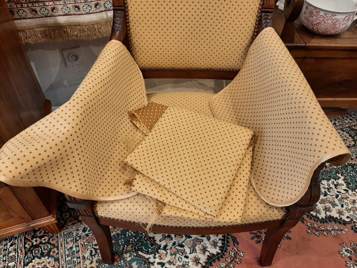 Paire De Fauteuils Têtes De Dauphin En Acajou Blond -  Début XIXème-photo-8