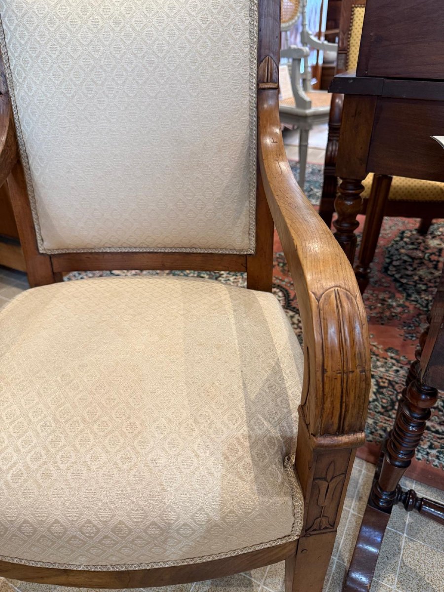 Pair Of Walnut Armchairs - 19th Century Empire Period-photo-3