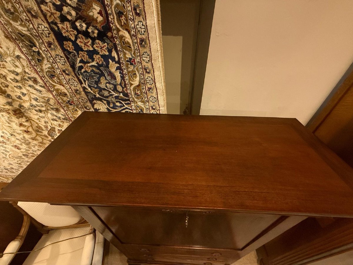 Charles X Style Secretary In Mahogany And Fruitwood Veneer - 19th Century-photo-4