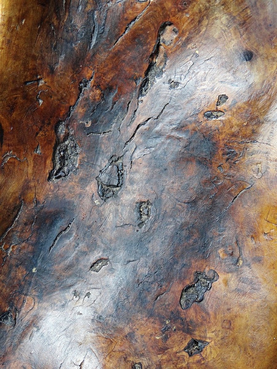 Large Monoxyl Bowl In Dark Raw Olive Wood From The 50s-photo-2