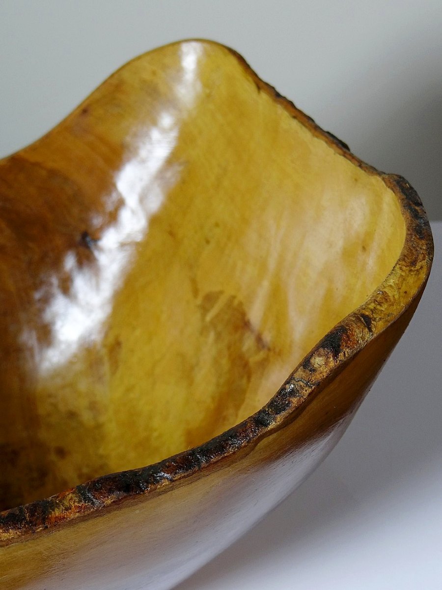 Large Olive Wood Bowl Riviera Brutalist Craft Circa 1950 Monoxyle-photo-4