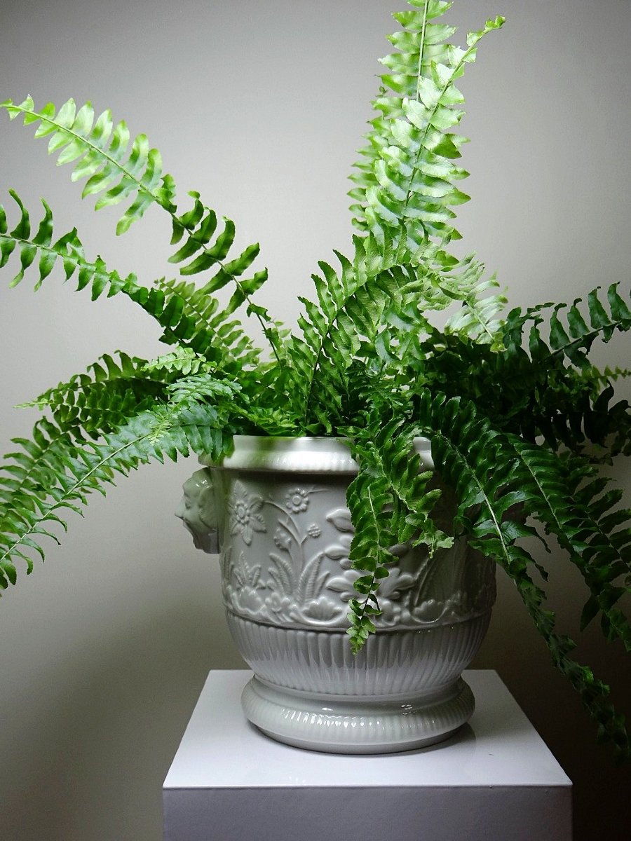 Gros cache pot/seau à champagne porcelaine Haviland Limoges repro St Cloud-photo-4