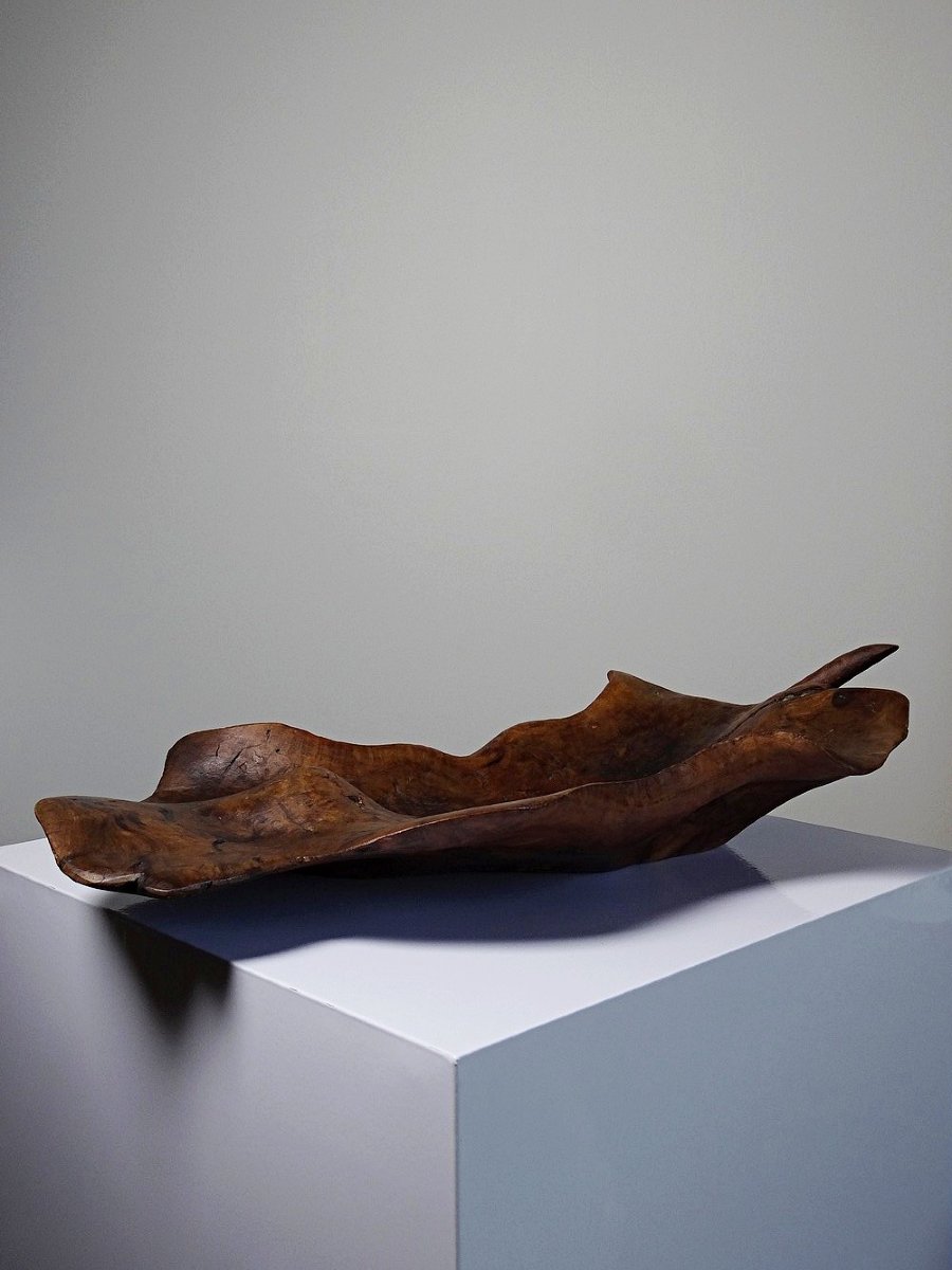 Grande coupe monoxyle en bois brut d'olivier foncé années 50-photo-6