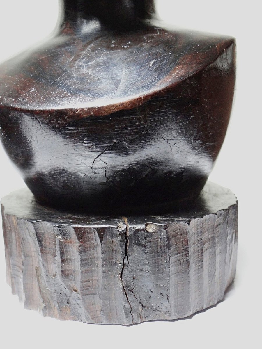 Couple de bustes Malgaches bois exotique foncé sculpté artisanat années 40-70-photo-6