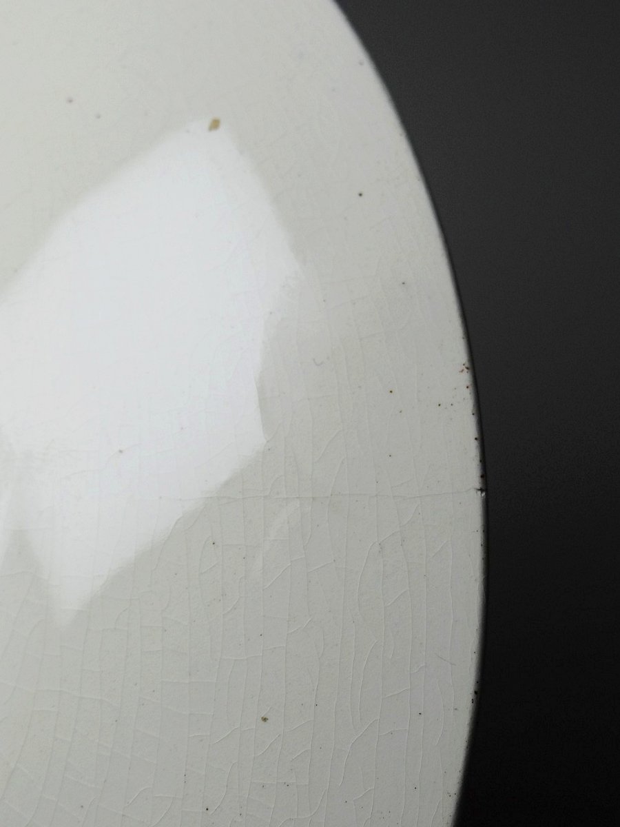 Set Of 5 Antique Sarreguemines Earthenware Wall Plates With Polychrome Military Decoration-photo-2