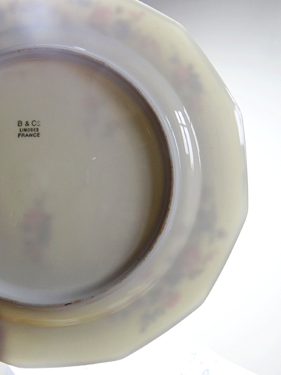 28-piece Bernardaud Limoges Porcelain Dinner Service With Floral Design From The 20s And 50s-photo-4