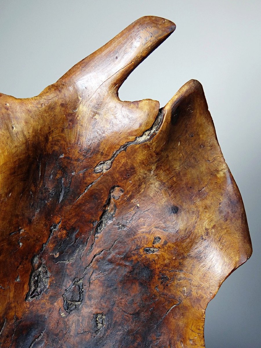 Grande coupe monoxyle en bois brut d'olivier foncé années 50 artisanat-photo-1