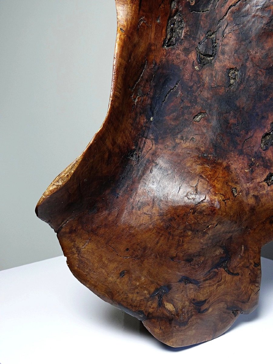 Grande coupe monoxyle en bois brut d'olivier foncé années 50 artisanat-photo-3