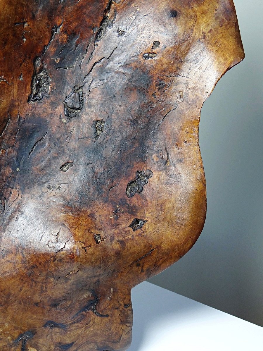 Grande coupe monoxyle en bois brut d'olivier foncé années 50 artisanat-photo-4