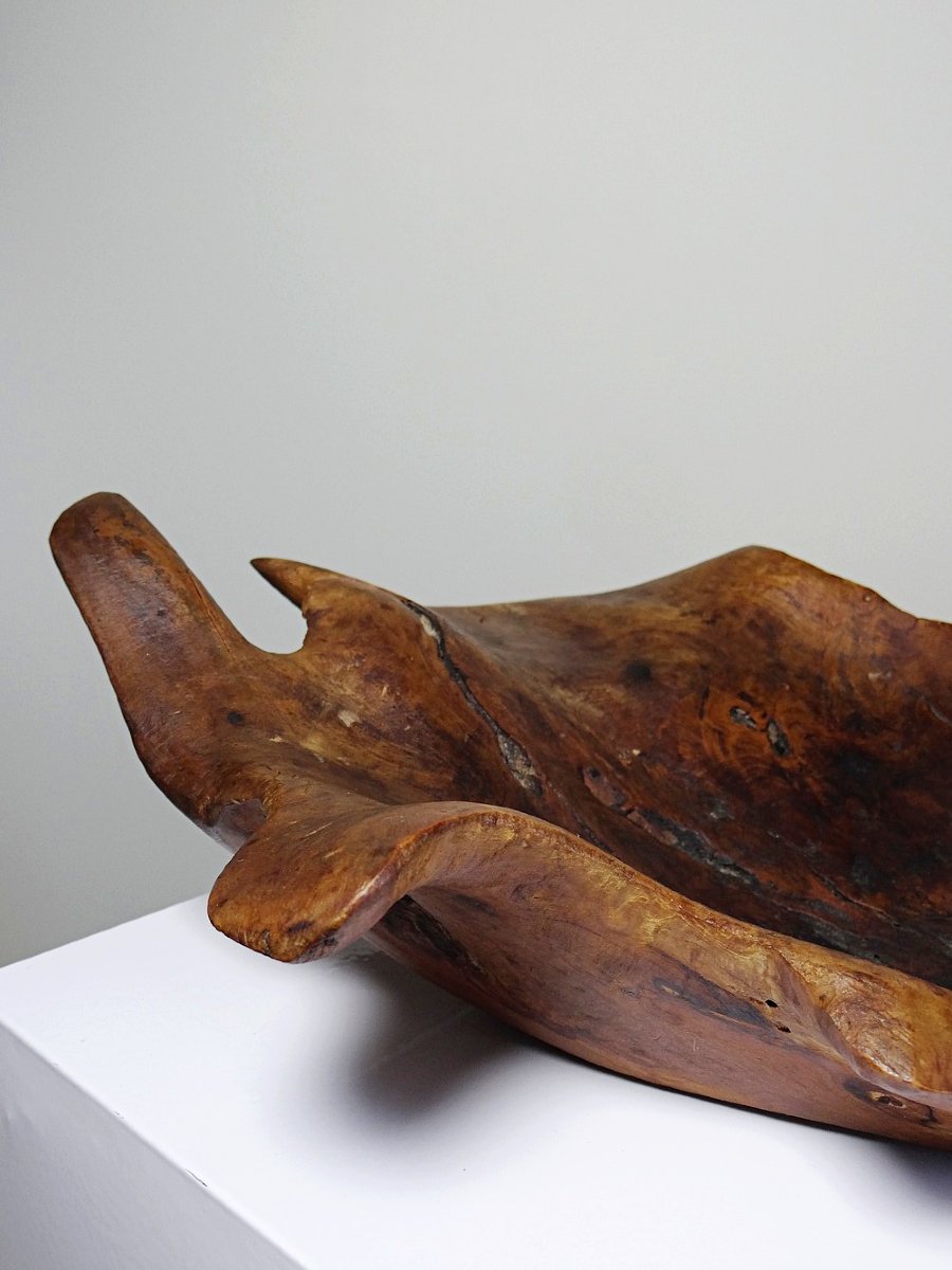 Grande coupe monoxyle en bois brut d'olivier foncé années 50 artisanat-photo-6