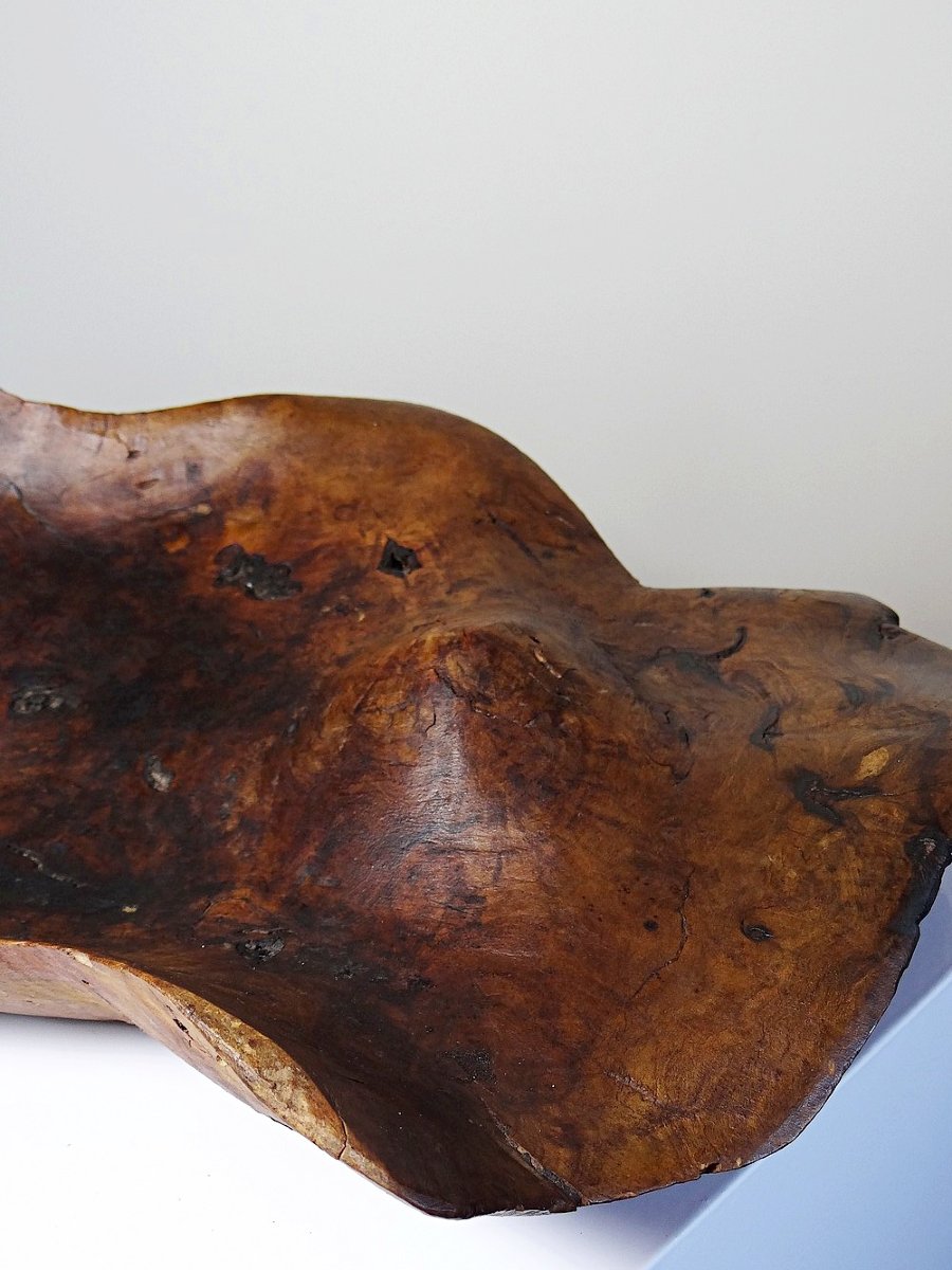 Grande coupe monoxyle en bois brut d'olivier foncé années 50 artisanat-photo-8