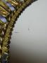 1753564-alb-69f7c12c05e23.jpg