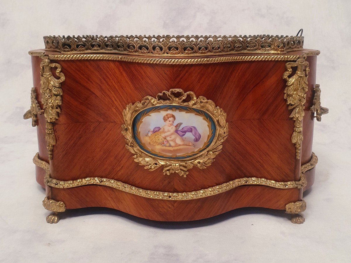 Planter Napoleon III Period - Sèvres Porcelain - Rosewood & Bronze - 19th-photo-3
