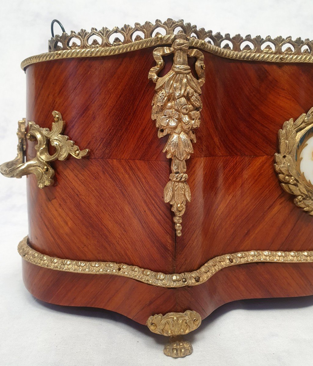 Planter Napoleon III Period - Sèvres Porcelain - Rosewood & Bronze - 19th-photo-4