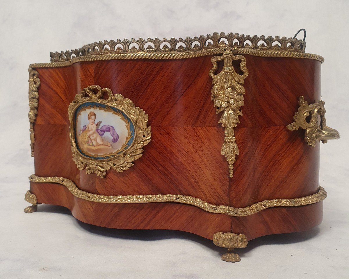 Planter Napoleon III Period - Sèvres Porcelain - Rosewood & Bronze - 19th