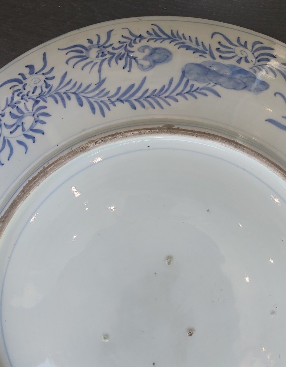 Rare Grand Plat Imari XIXème -photo-4