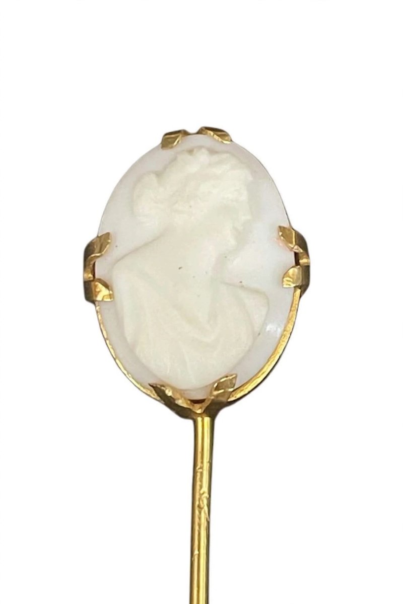 750 Gold Pin Adorned With A Seashell Cameo