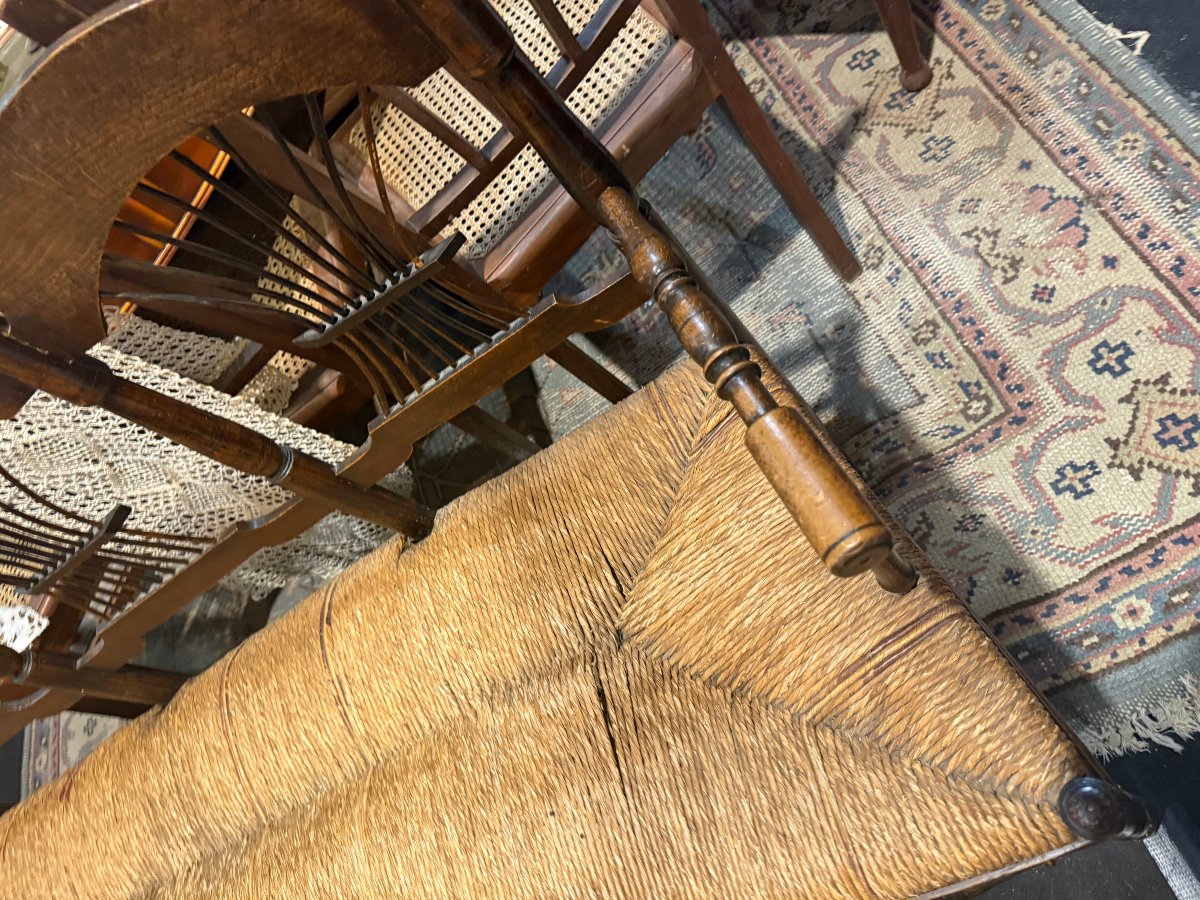 Provençal Radassière-photo-4