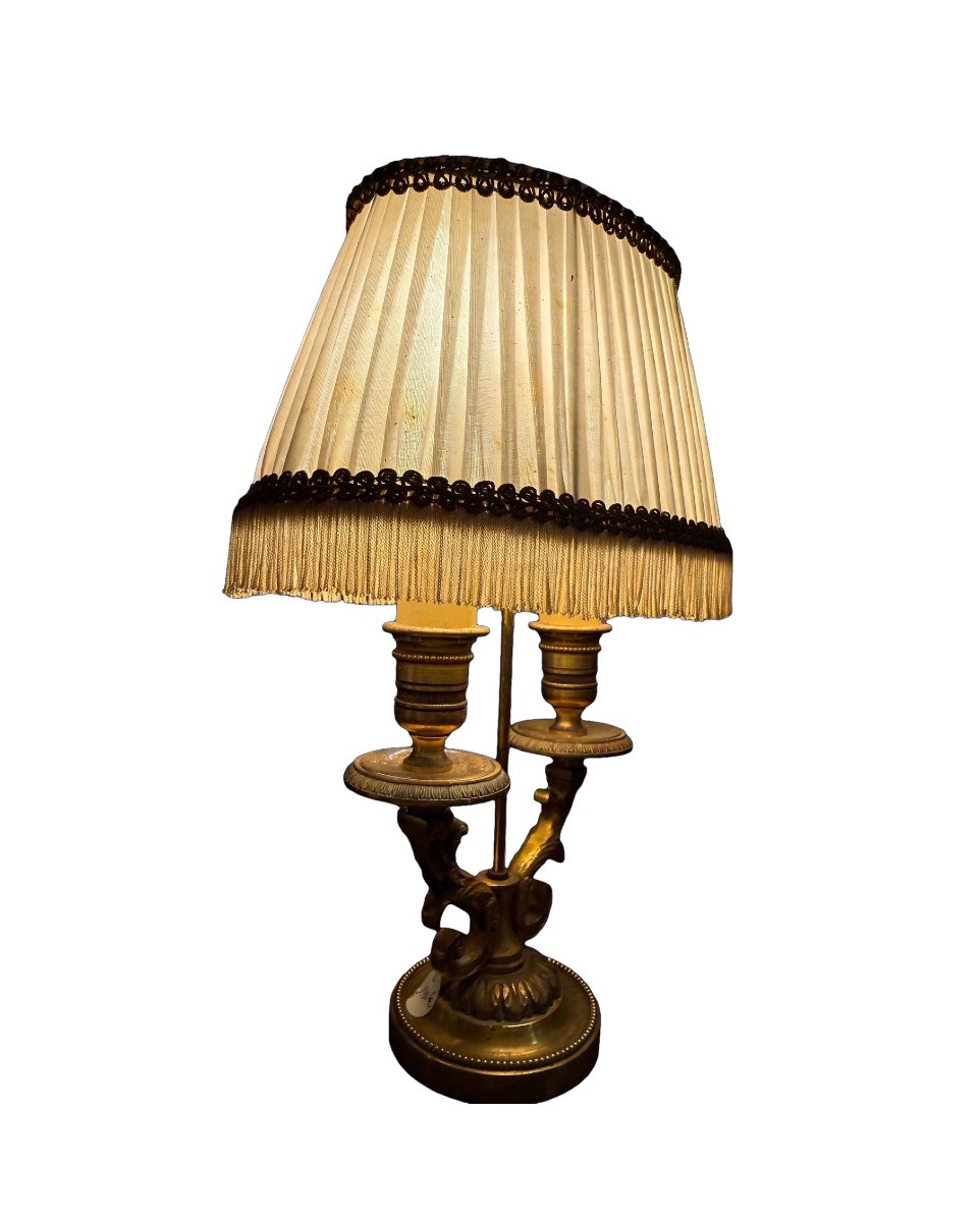 Lampe bouillotte-photo-2