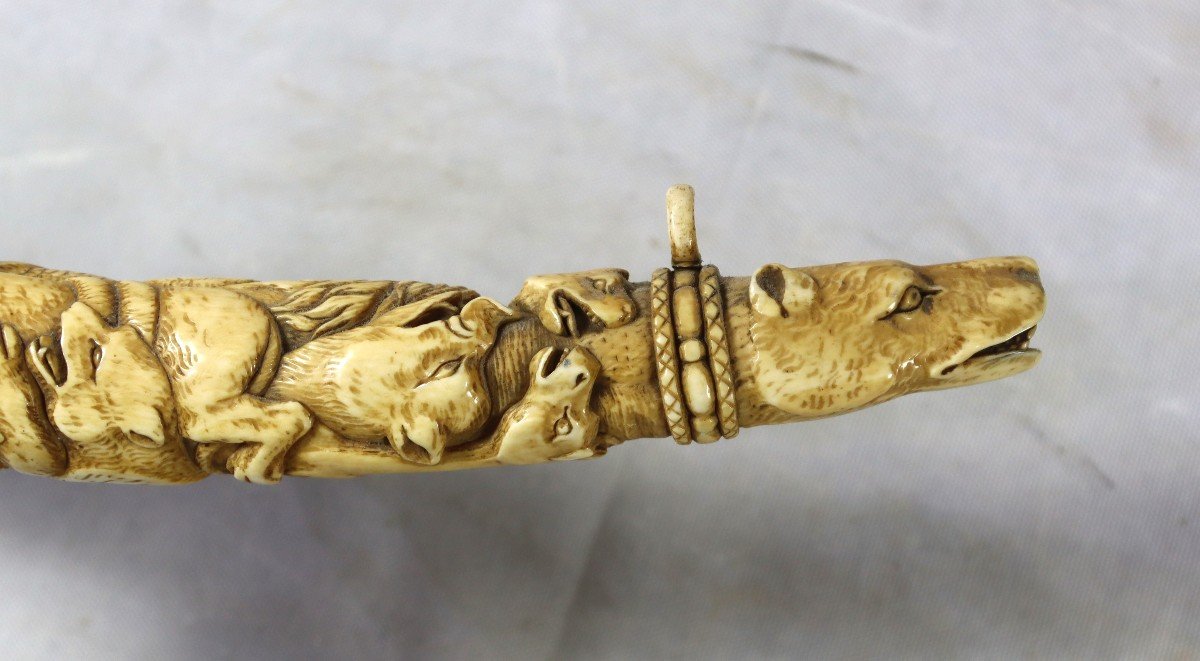 Richly Carved Olifant Decorated With Coats Of Arms With The Arms Of France And King, 19th Century-photo-7