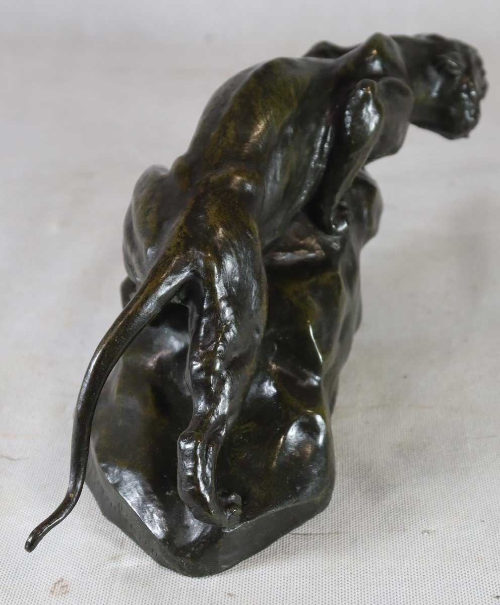 Giacomo Merculiano (1859-1935), Sculpture Bronze " La Lionne ", Vers 1900-photo-3