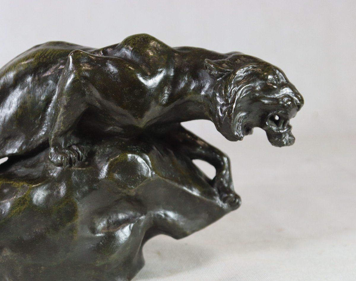 Giacomo Merculiano (1859-1935), Sculpture Bronze " La Lionne ", Vers 1900-photo-4