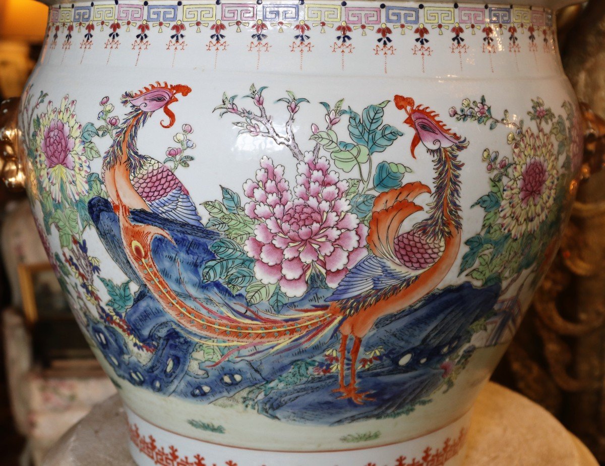 China, Important Porcelain Aquarium, Famille Rose, Late 19th Century-photo-2
