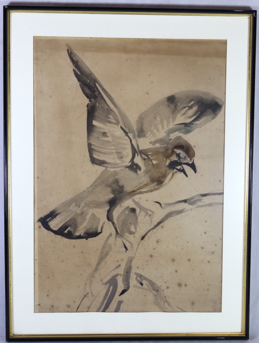 Raymond Bigot (1872-1953), Aquarelle " Le Geai ", Signé, XXe