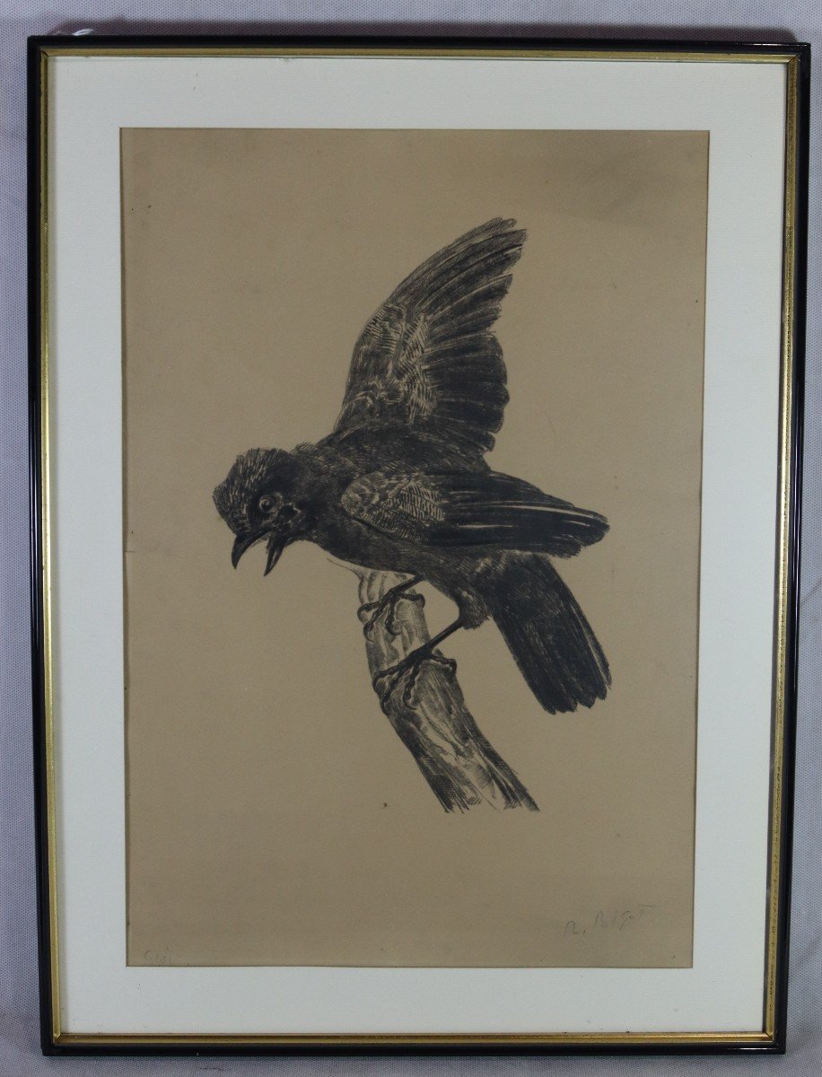 Raymond Bigot (1872-1953), Gravure " Le Geai ", Signé, XXe