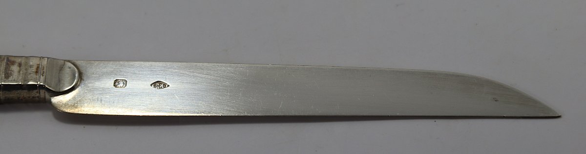 Ernest Cardeilhac, Série De 36 Couteaux à Dessert En Argent, métal Et Nacre, XXe-photo-5
