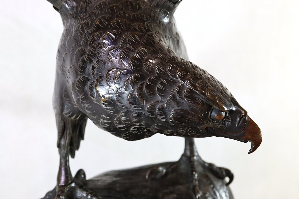 OKIMONO MASSIF EN BRONZE D'UN AIGLE DE MER Japon période Meiji.-photo-1