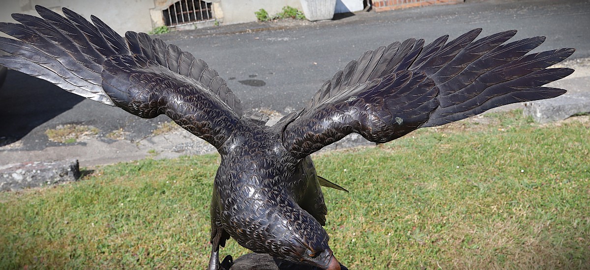 OKIMONO MASSIF EN BRONZE D'UN AIGLE DE MER Japon période Meiji.-photo-6
