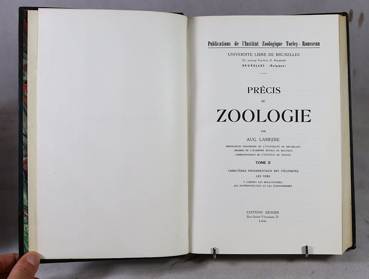 [zoology]. Lameere (auguste). Summary Of Zoology. 20th-photo-1