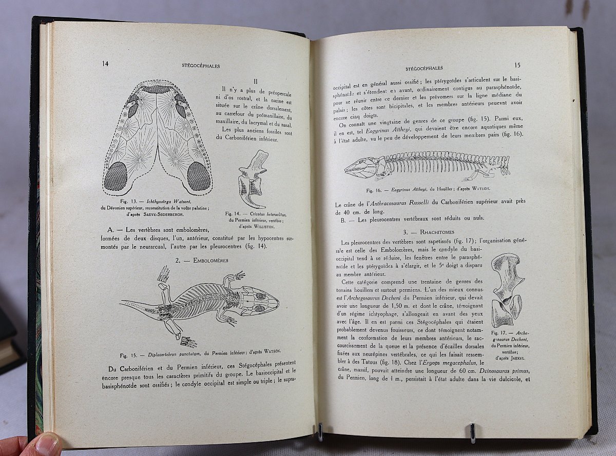 [zoology]. Lameere (auguste). Summary Of Zoology. 20th-photo-3