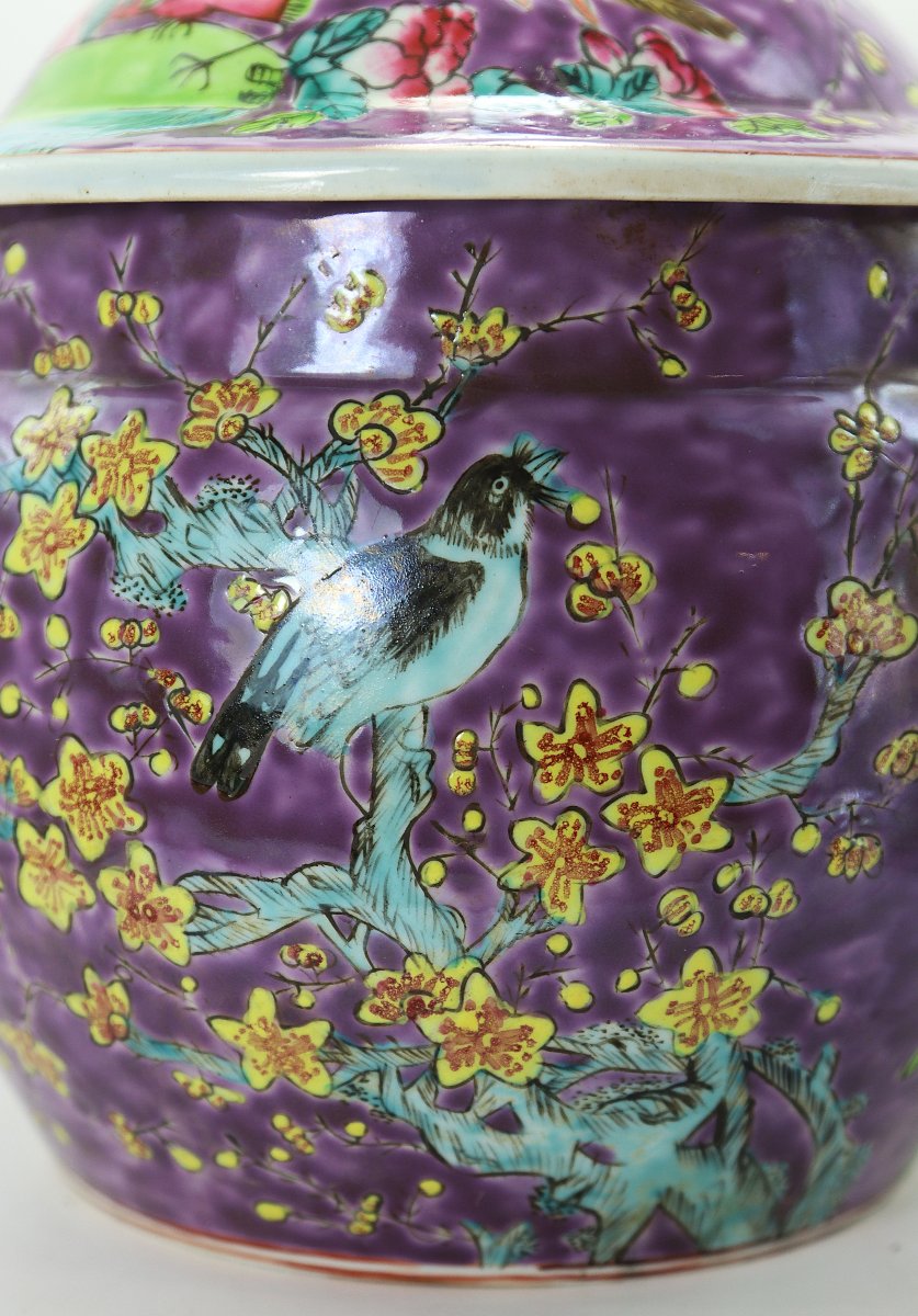 Dayazhai, Covered Porcelain Pot, Qing Dynasty, Late 19th Century. -photo-2