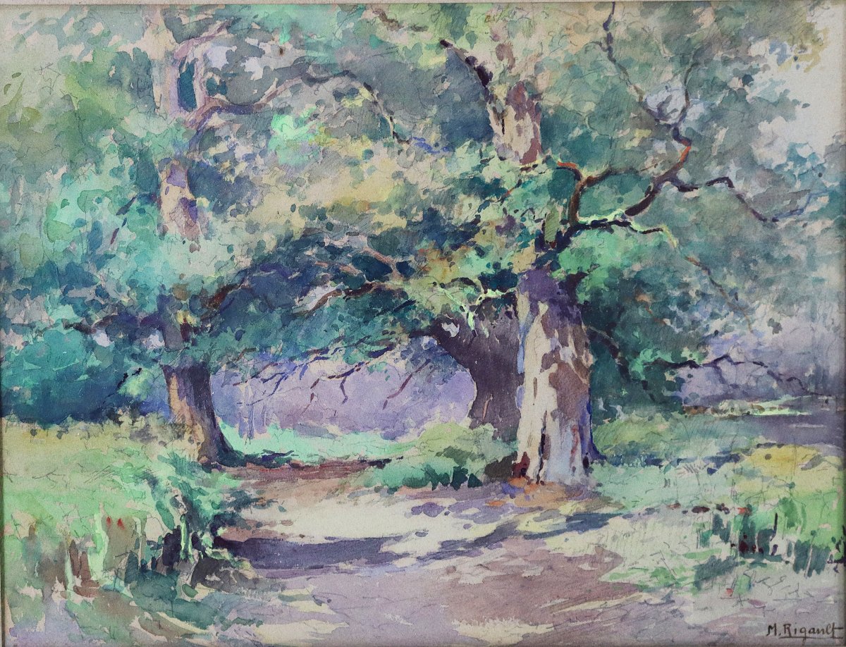 M. RIGAULT ( XXe), Aquarelle " Les arbres ", signé. XXe-photo-2