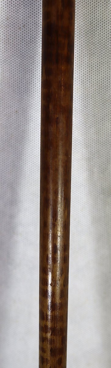 Canne en bois d'amourette et pommeau Argent, début XXe-photo-4