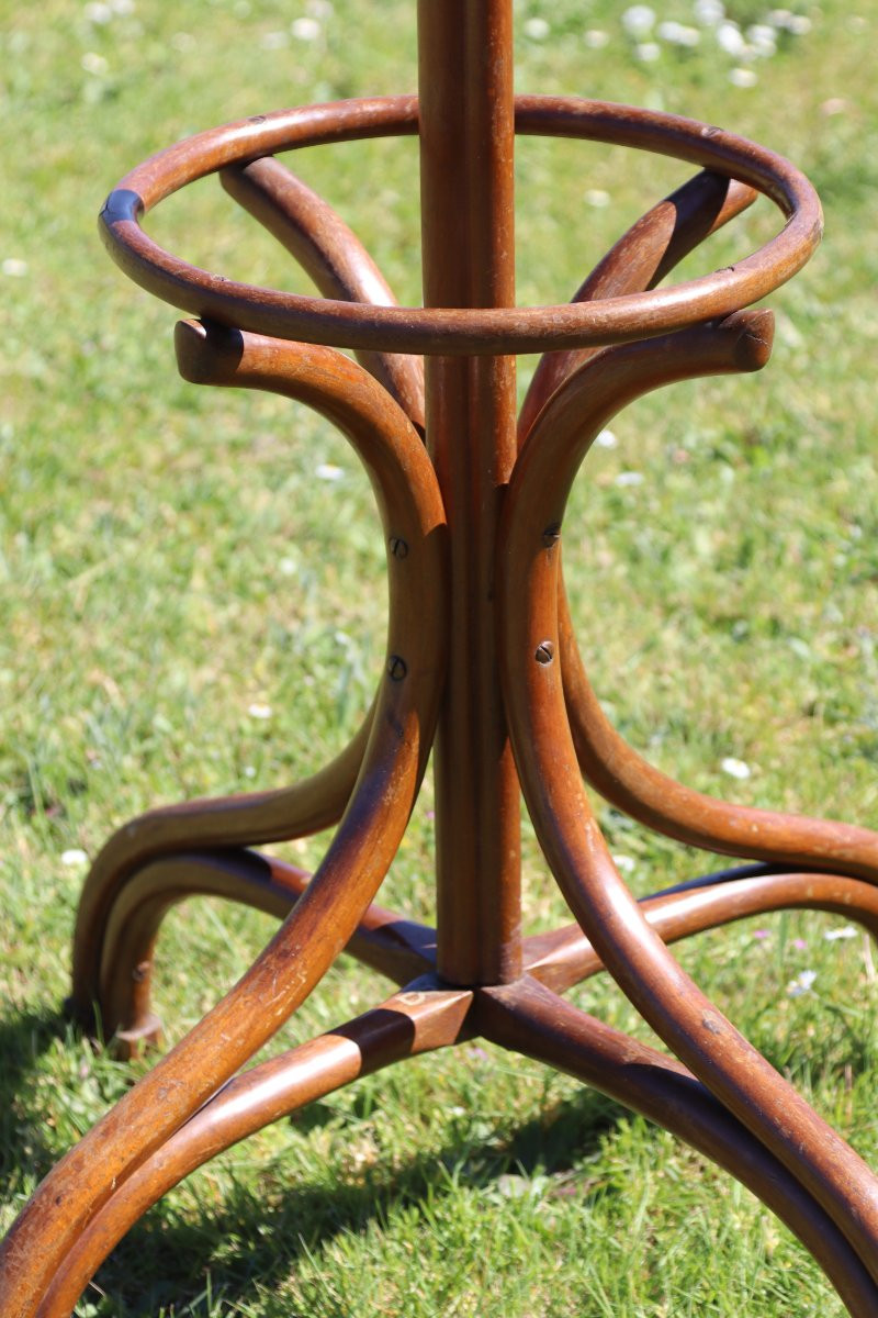 THONET (Attrib ), Porte-manteaux " Perroquet "vers 1920-photo-4