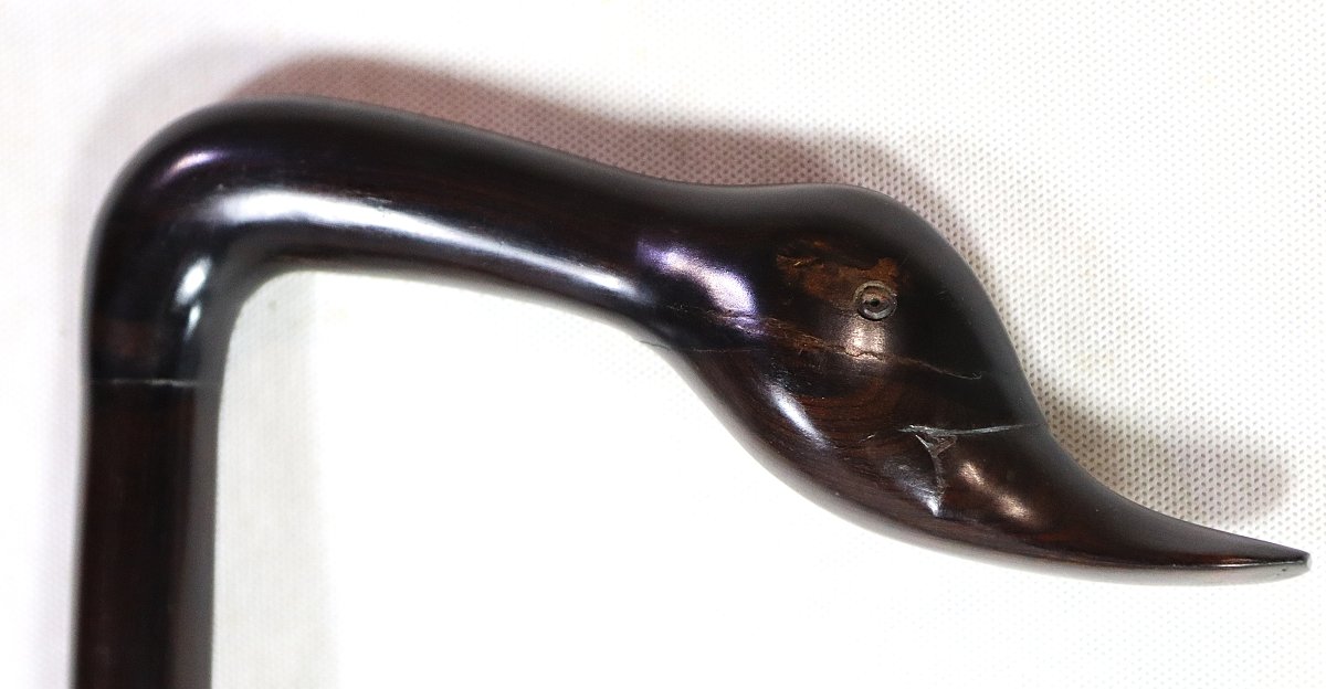 Canne en ébène de Macassar "tête de canard", XXe-photo-8
