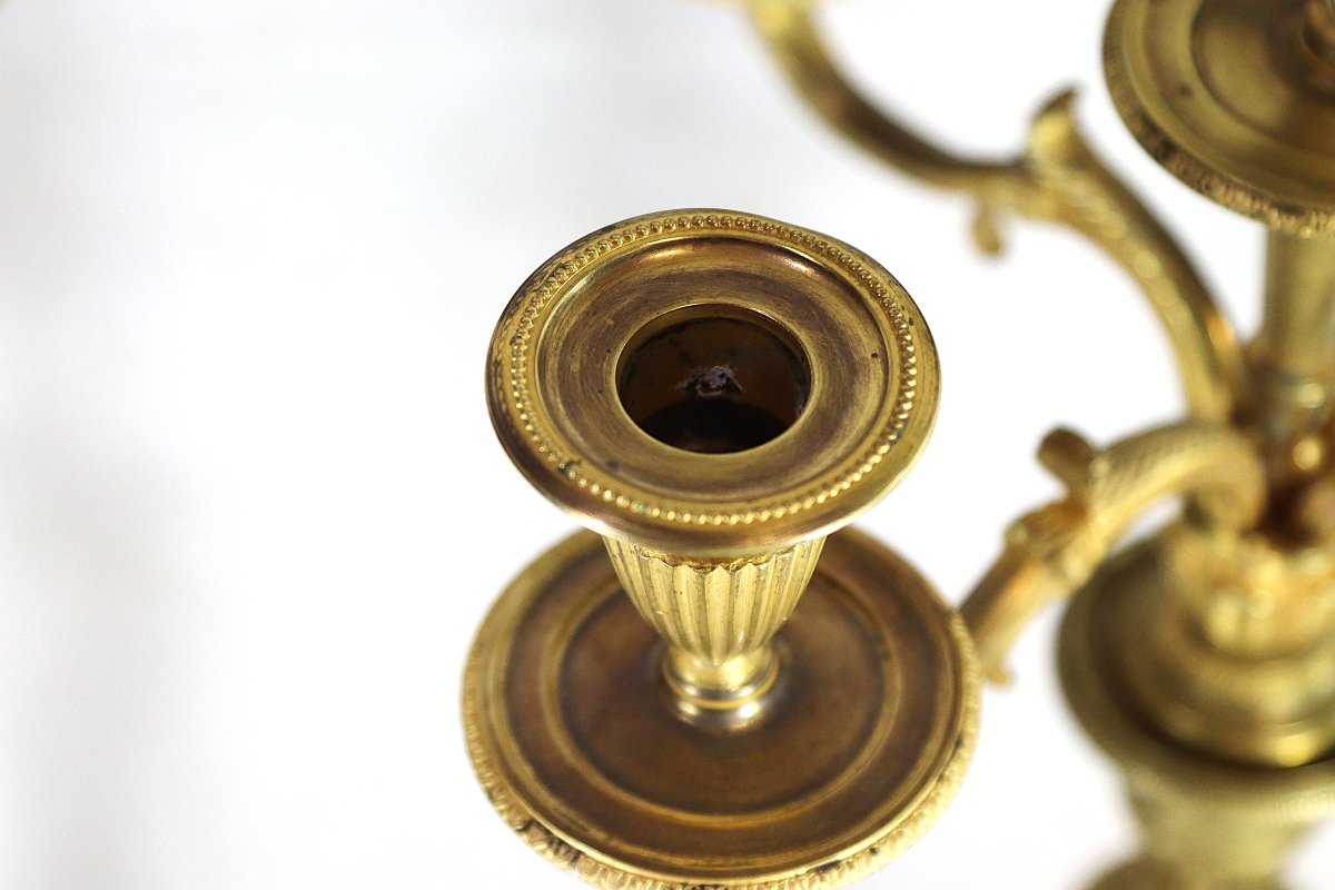 Paire de candélabre en bronze dans le goût de Claude Galle, fin XIXe-photo-5