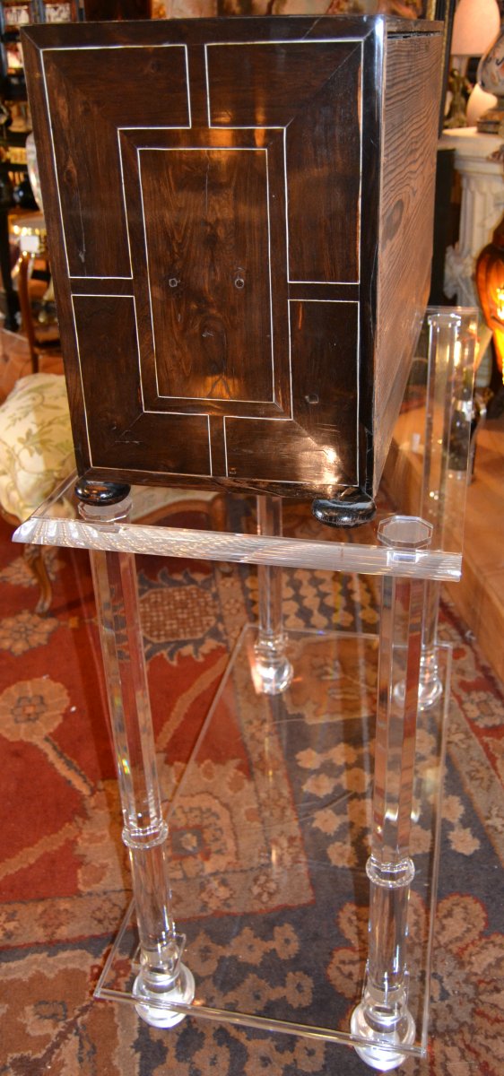 Cabinet In Rosewood And Bones XVIIth Century And Altuglas Leg XXth-photo-2